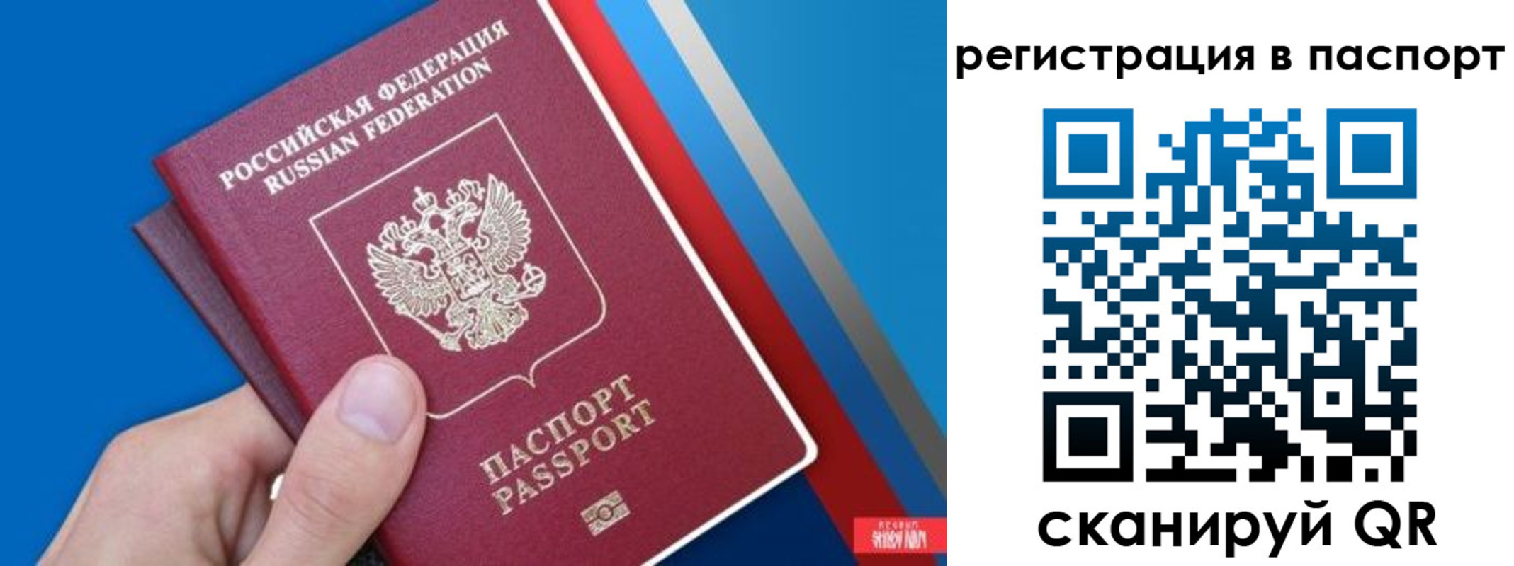 прописка для школы в Свободном